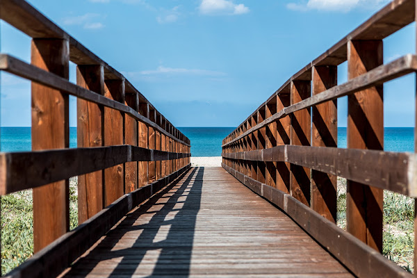 Verso il mare di Andrea Calò