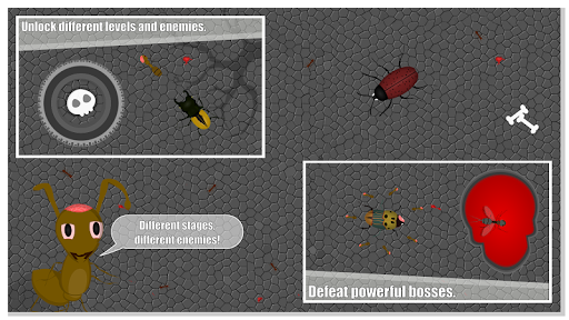 Screenshot Ant Evolution Forever : Squash