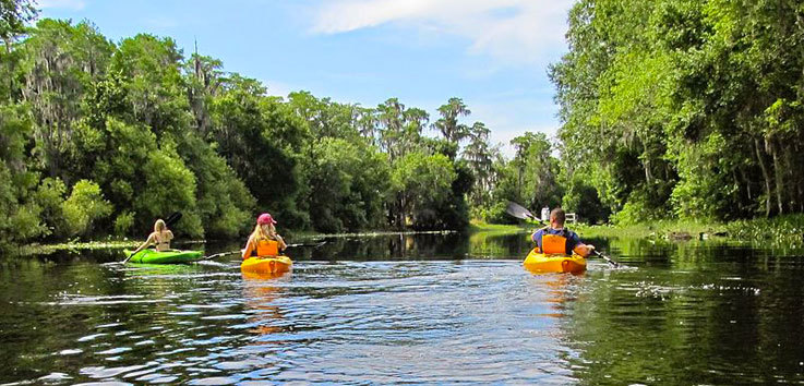 Shingle Creek Regional Park