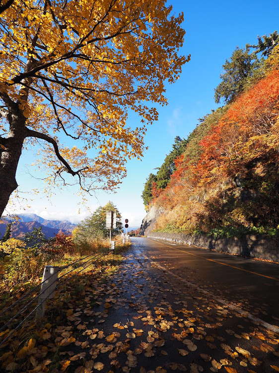 ねこぱんちさんが投稿した白川郷行ってきました・白山スーパー林道も行ってきました・紅葉きれいでした・カメラを持って出掛けましたに関するカスタム事例の投稿画像10枚目