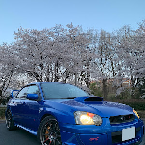 インプレッサ STI