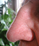 A human Nose.