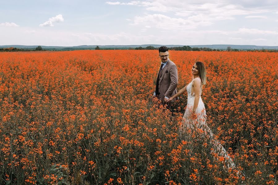 Svatební fotograf Nikola Segan (nikolasegan). Fotografie z 6.května 2019