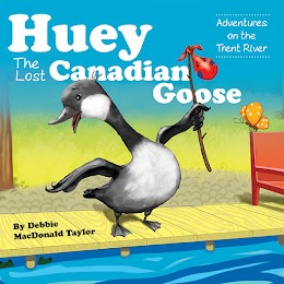 Huey The Lost Canadian Goose cover