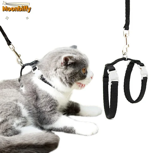 Cat Dog Collar Harness Leash Adjustable Nylon Pet Traction Cat Solid Halter Collar Cats Products Pet Harness Belt for Si
