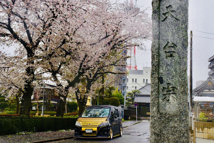 ステップワゴンスパーダのステップワゴン・桜・桜と愛車・エイプリルフールに関するカスタム事例の投稿画像3枚目