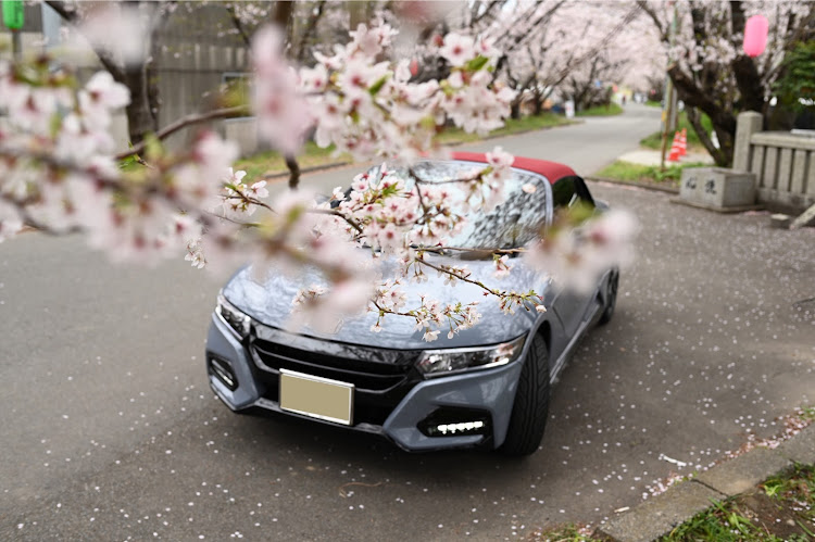 S660のS660のある生活・S660のある風景・S660オーナーズクラブ・モデューロXバージョンz・桜とコラボ🌸に関するカスタム事例の投稿画像1枚目
