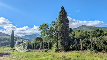 terrain à Sorède (66)