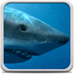 Sharks Live Wallpaper Apk