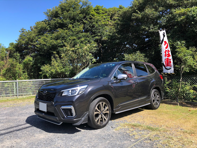 フォレスターの夏空と愛車・鹿島灘海浜公園・無双の二刀流・台風に気をつけて下さい・いつもイイネ&コメントありがとうございます🙇‍♂️に関するカスタム事例の投稿画像4枚目