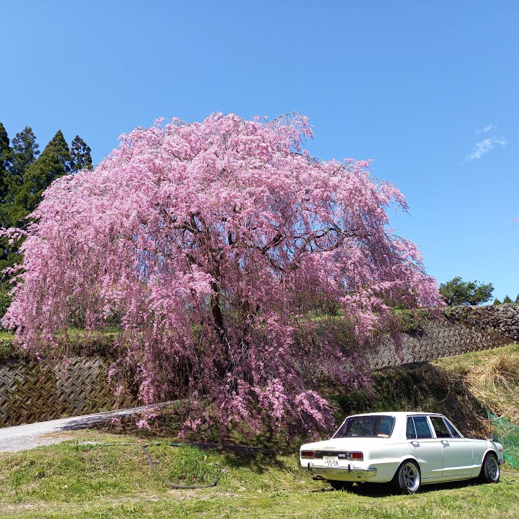 の投稿画像3枚目