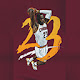 LeBron James Wallpapers HD Theme