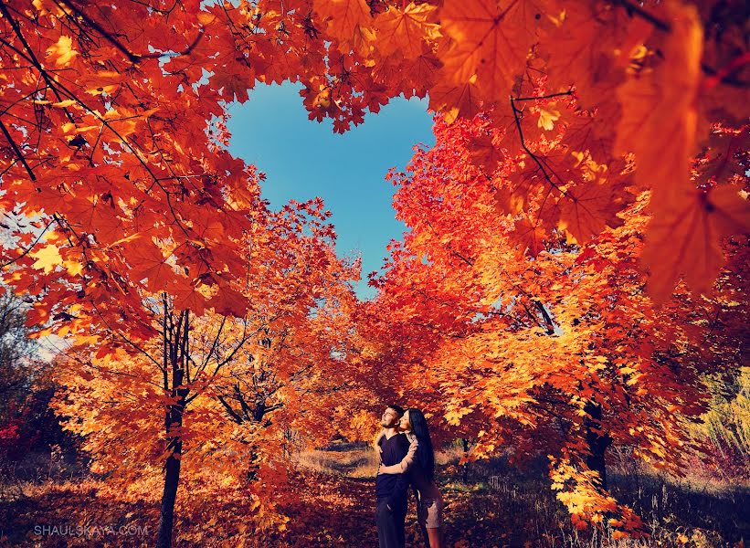 Wedding photographer Anna Shaulskaya (annashaulskaya). Photo of 8 October 2017