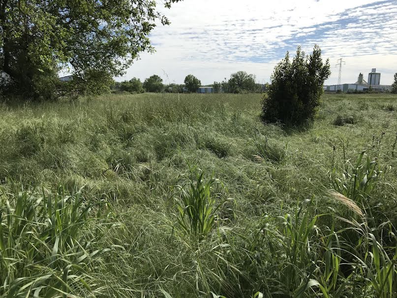 Vente terrain  1123 m² à Portet-sur-Garonne (31120), 218 000 €