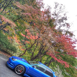 インプレッサ WRX STI GDB