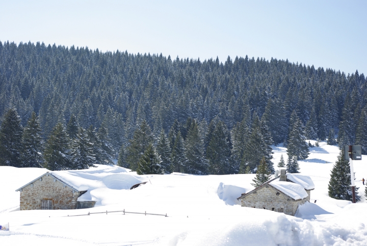 PAESAGGIO INVERNALE di sergio71