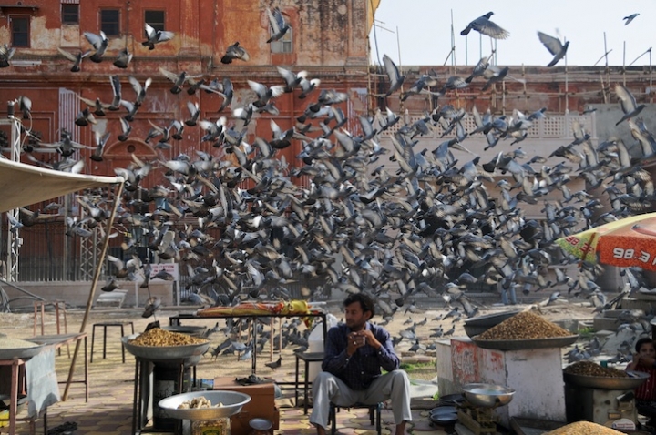 Volo al mercato di ronda