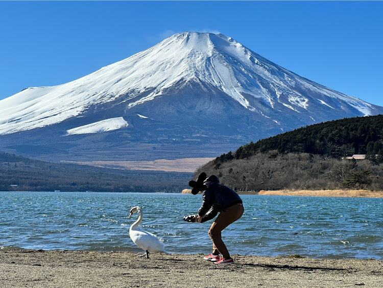 の投稿画像10枚目