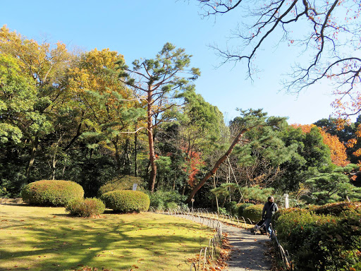 The Meiji Shrine Tokyo Japan 2017