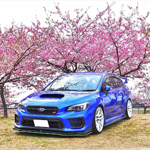 WRX STI VAB