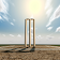 Cricket Player Manager icon