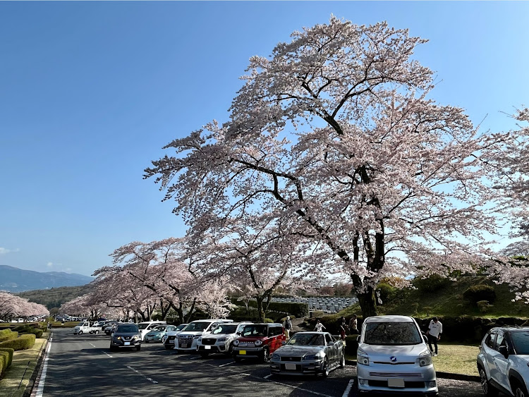 の投稿画像10枚目