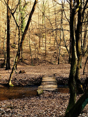 NATURA INCANTATA di salvasere