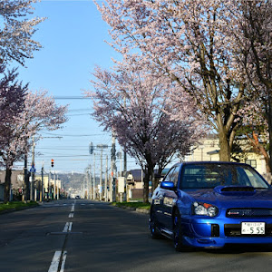 インプレッサ WRX STI GDB