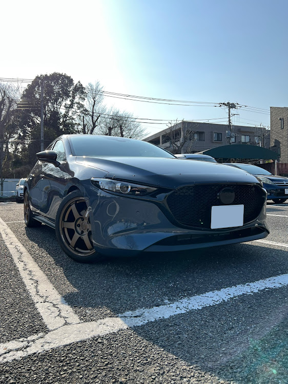 mazda3 バグガード ボンネットプロテクター