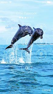 Dolphin Sea HD Lock(圖2)-速報App
