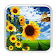 nature tournesol brillant icon