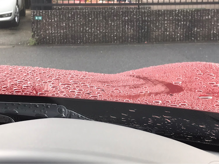 ロードスターの洗車した翌日は…雨・小さな一歩・糞害に憤慨・1人撮影会・次は…に関するカスタム事例の投稿画像3枚目
