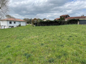 maison neuve à Viviers-lès-Montagnes (81)