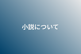 小説について