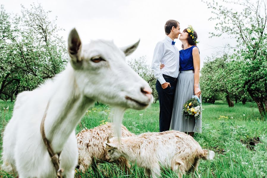 Fotografo di matrimoni Maksim Sivkov (maximsivkov). Foto del 27 maggio 2016