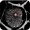 Item logo image for Spiders