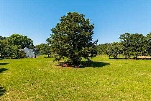 Land 5
