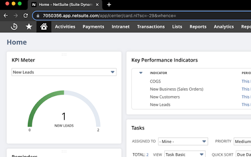 NetSuite Focus