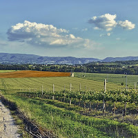 Passeggiata in campagna di 