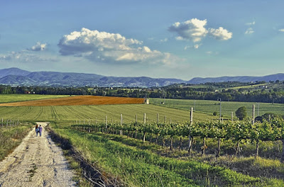 Passeggiata in campagna di si