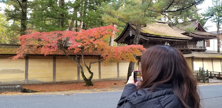 の投稿画像7枚目