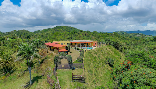 House with pool and garden 1