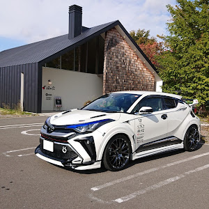 C-HR NGX50