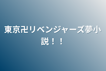 東京卍リベンジャーズ夢小説！！