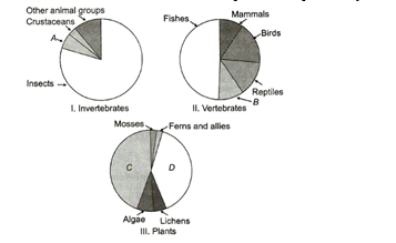 Magnitude of Biodiversity