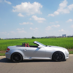 SLK R171