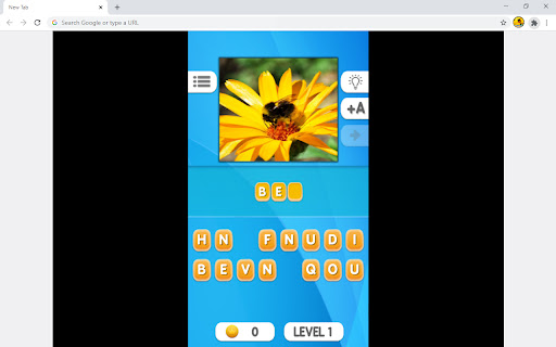 Photo Quiz Online Game