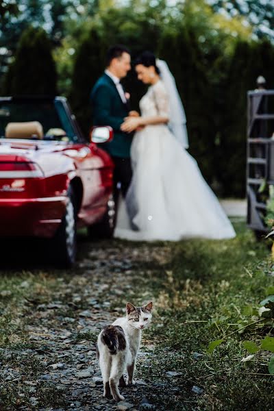 Düğün fotoğrafçısı Ionut Floricescu (floricescu). 3 Ocak 2020 fotoları