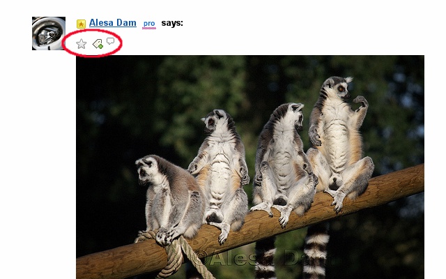 Flickr Photo Actions on Threads