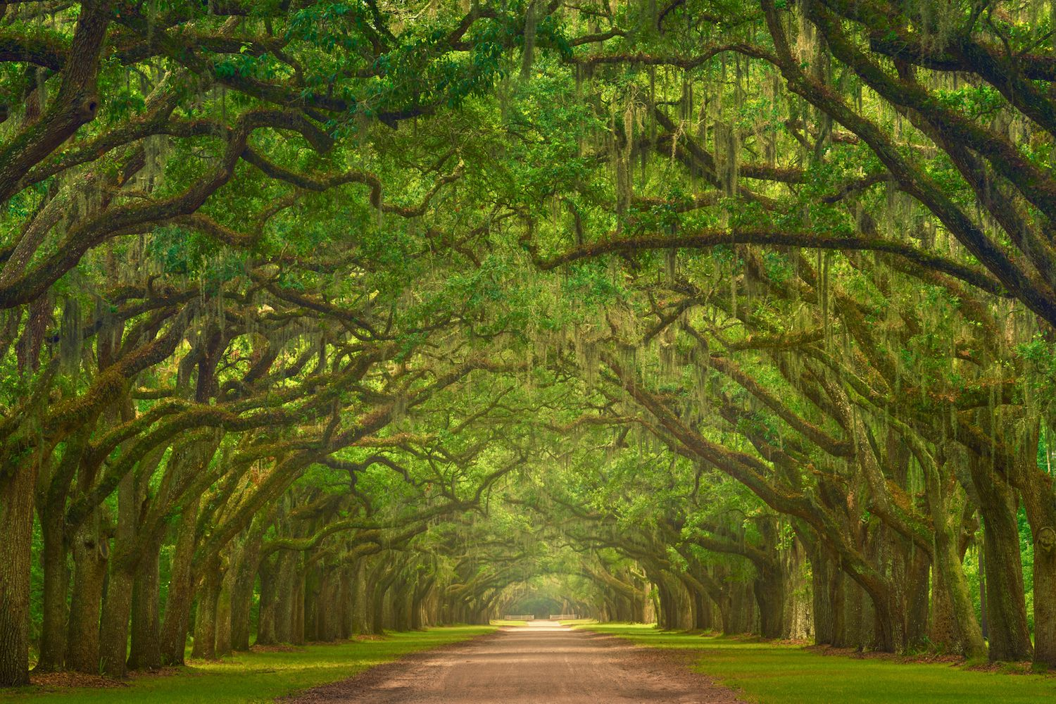 Wormsloe Historic Site   